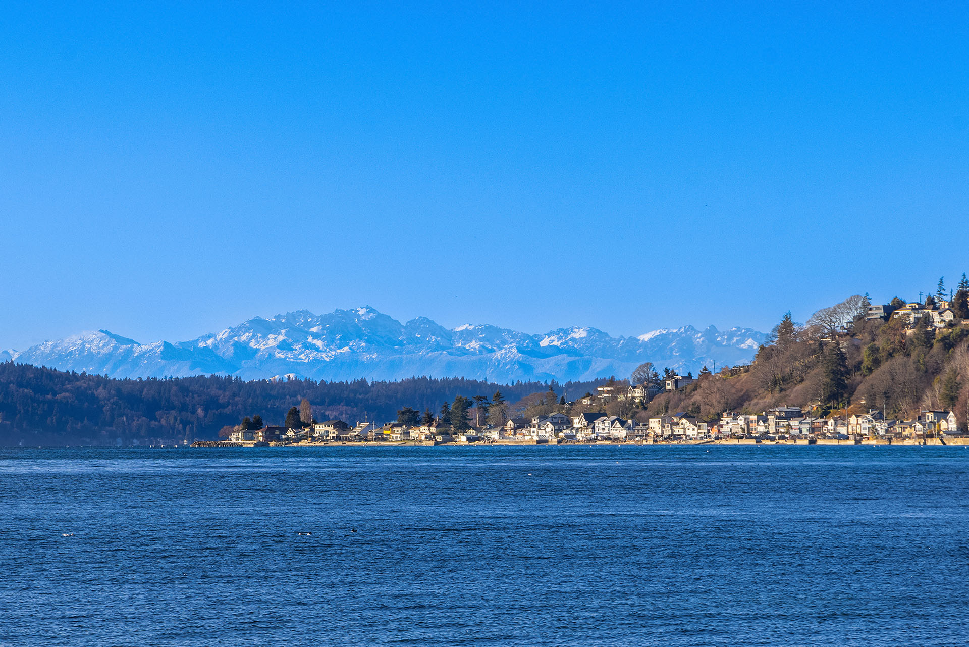 Three Tree Point neighborhood